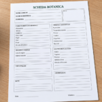 Modello Scheda Botanica Word e PDF Editabile