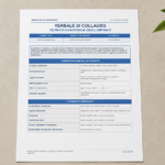 Fac Simile Verbale Collaudo Impianti