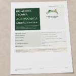Relazione Tecnica Agronomica Azienda Agricola