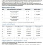 Fac Simile Piano di Riparto della Liquidazione