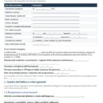Fac Simile Programma di Liquidazione Art. 213 CCII