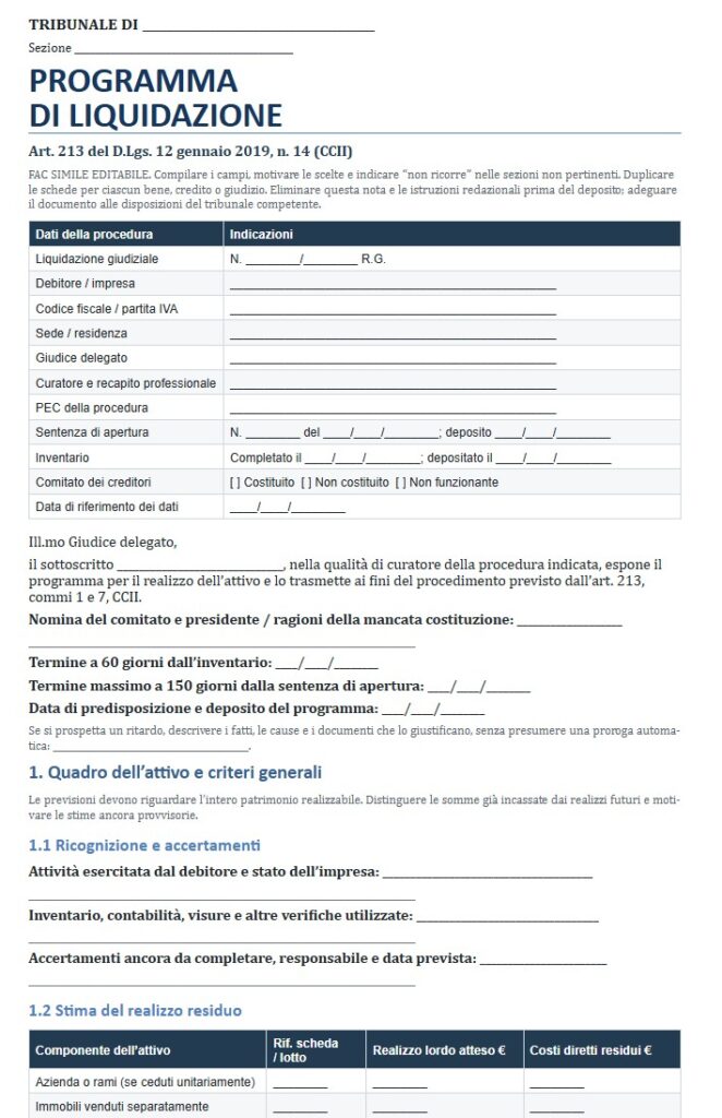 Fac Simile Programma di Liquidazione Art. 213 CCII