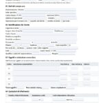 Fac Simile Scheda Operazioni Compro Oro Word, Excel e PDF