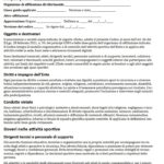 Modello Codice di Condotta Safeguarding